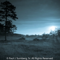 Days gone bye