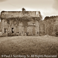 Georgia Plantation 1