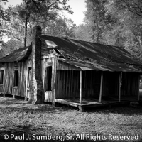 Suwannee ranch 1