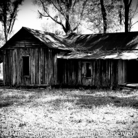Suwannee ranch 2