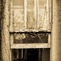 Window Pain