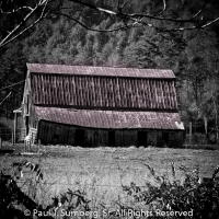 Angus Barn