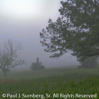 Apple Tree, Chimney in Early Morning Fog