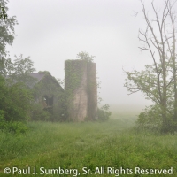 Foggy Silos