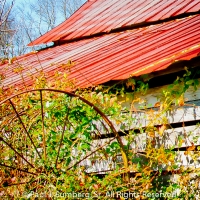 Track Rock Barn