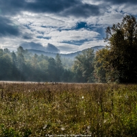 Almost Autumn
