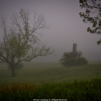 Apple Tree, Chimney and Early Morning Fog