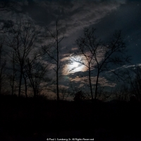 Moonlight