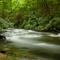 Noontootla white water